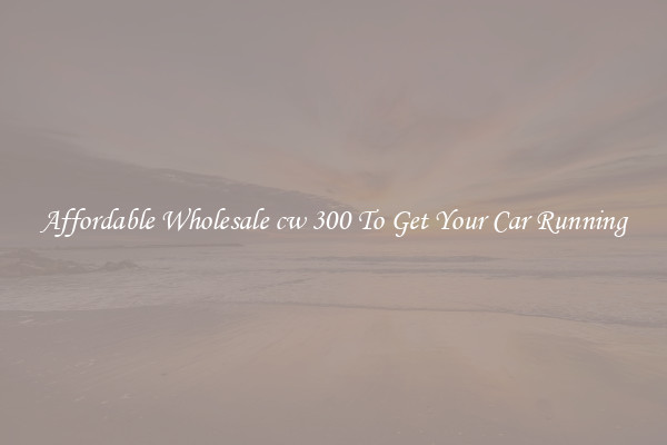 Affordable Wholesale cw 300 To Get Your Car Running
