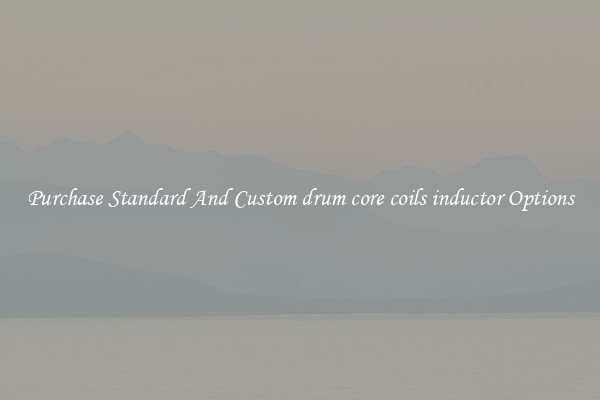 Purchase Standard And Custom drum core coils inductor Options