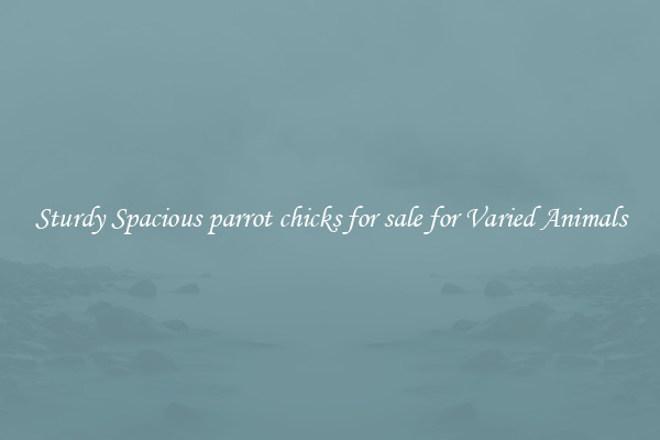 Sturdy Spacious parrot chicks for sale for Varied Animals