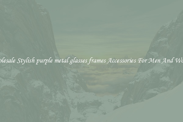 Wholesale Stylish purple metal glasses frames Accessories For Men And Women