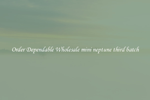 Order Dependable Wholesale mini neptune third batch