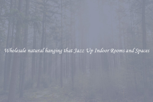 Wholesale natural hanging that Jazz Up Indoor Rooms and Spaces