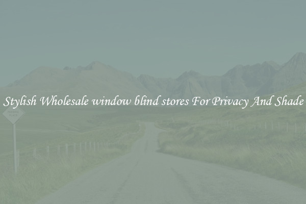 Stylish Wholesale window blind stores For Privacy And Shade
