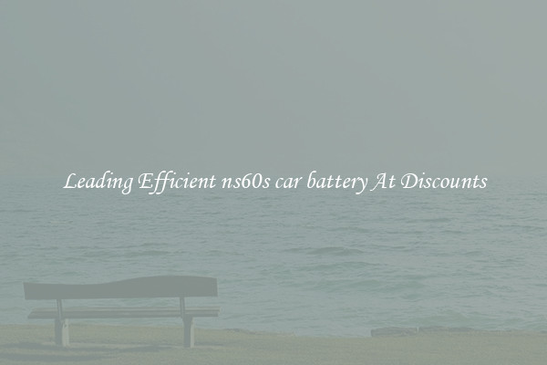Leading Efficient ns60s car battery At Discounts