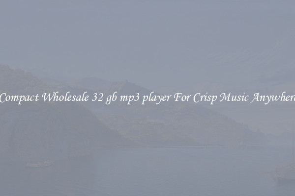 Compact Wholesale 32 gb mp3 player For Crisp Music Anywhere