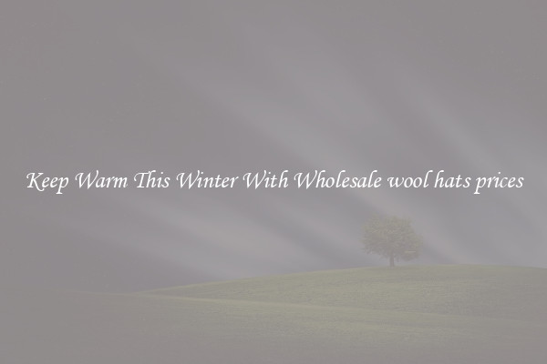 Keep Warm This Winter With Wholesale wool hats prices