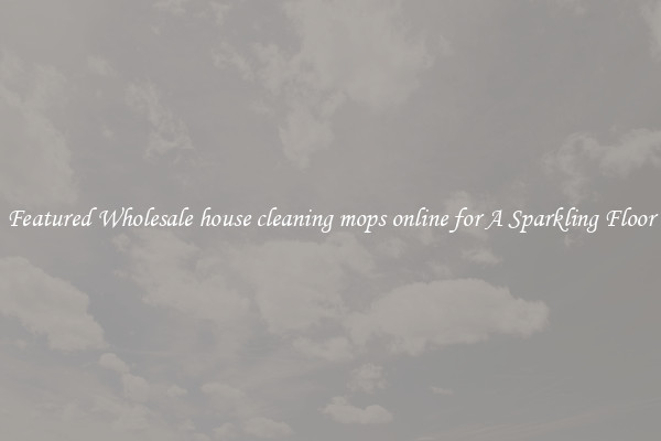 Featured Wholesale house cleaning mops online for A Sparkling Floor