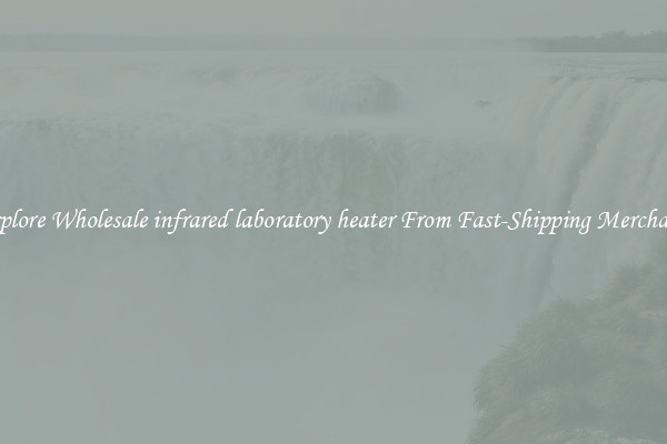 Explore Wholesale infrared laboratory heater From Fast-Shipping Merchants