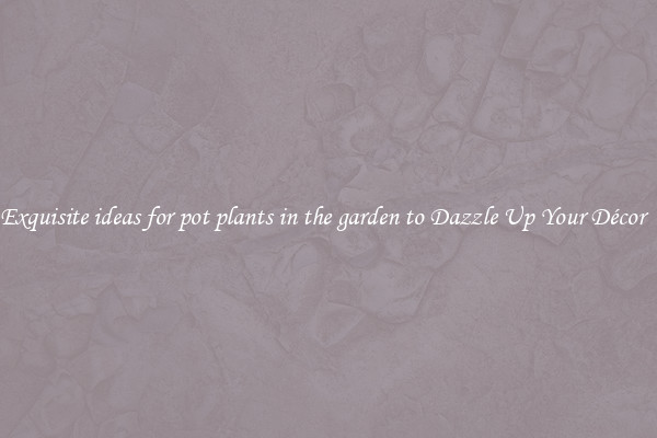 Exquisite ideas for pot plants in the garden to Dazzle Up Your Décor  