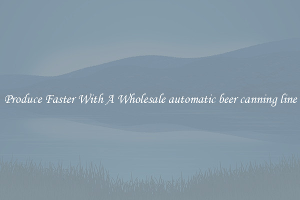 Produce Faster With A Wholesale automatic beer canning line