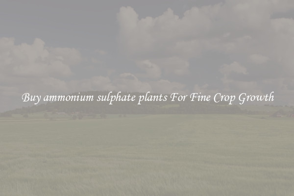 Buy ammonium sulphate plants For Fine Crop Growth