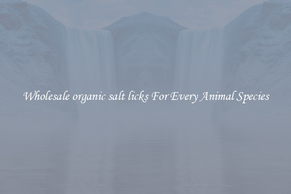 Wholesale organic salt licks For Every Animal Species