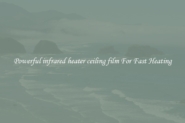 Powerful infrared heater ceiling film For Fast Heating