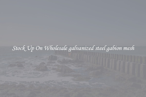 Stock Up On Wholesale galvanized steel gabion mesh