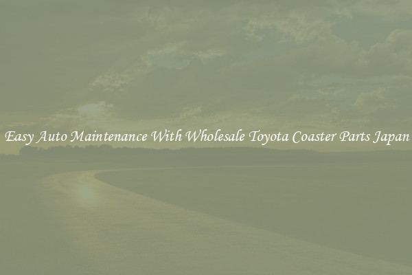 Easy Auto Maintenance With Wholesale Toyota Coaster Parts Japan