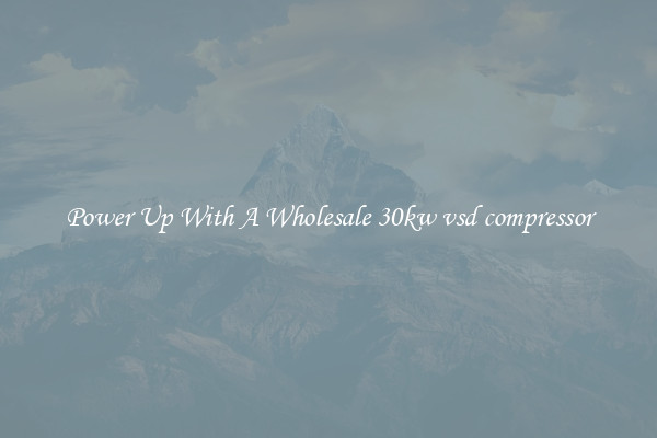 Power Up With A Wholesale 30kw vsd compressor