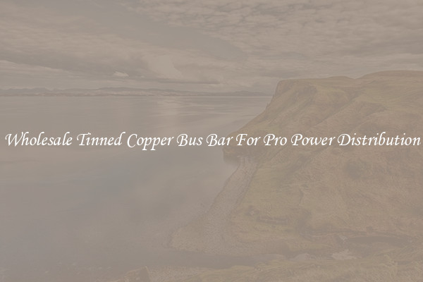 Wholesale Tinned Copper Bus Bar For Pro Power Distribution