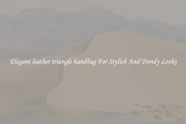 Elegant leather triangle handbag For Stylish And Trendy Looks
